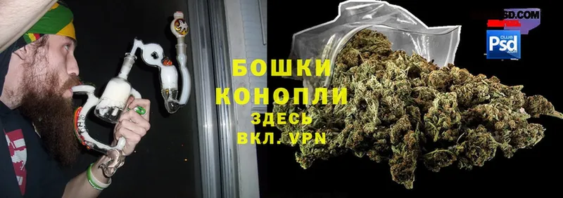 Бошки Шишки SATIVA & INDICA  где можно купить   Кемь 